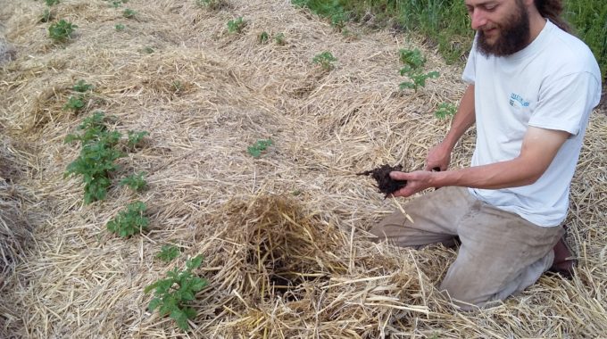 « Gagnez En Qualité De Production En Retrouvant Un Sol Vivant Grâce Aux Techniques De Reconstruction Des Sols » François Mulet, Maraicher Dans L’Eure