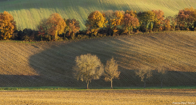 Etat Des Lieux Des Infrastructures Agroécologiques