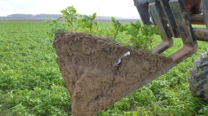 Evaluer La Structure Du Sol Grâce Au Mini-profil 3D De AGRO-TRANSFERT-RT