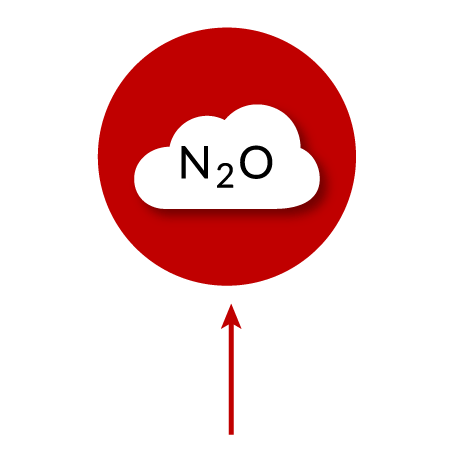 N2O