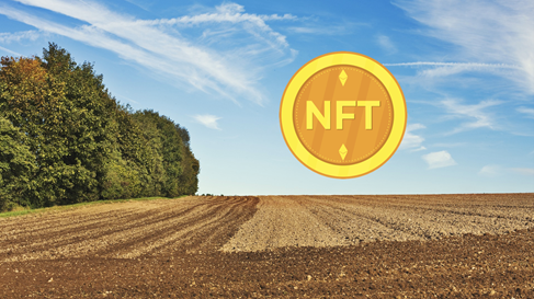 Des NFT Dans Le Secteur Agricole ?