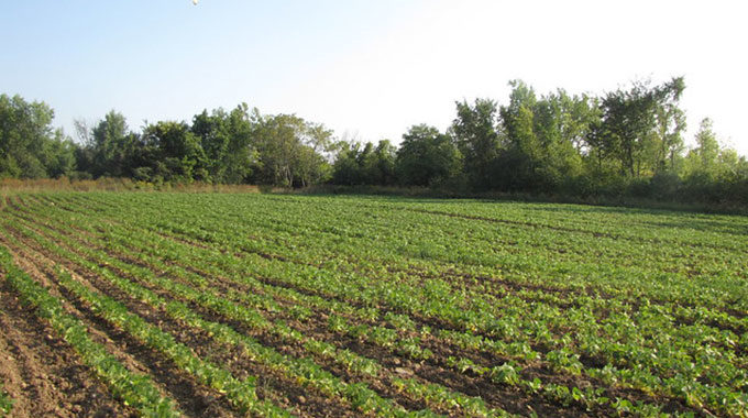 PEPS : Une Initiative Pour La Durabilité Agronomique Des Exploitations Agricoles