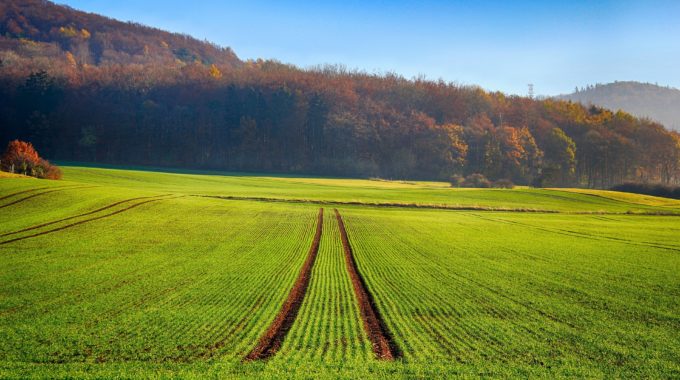 Influence Des Successions Culturales Sur La Qualité De L’eau