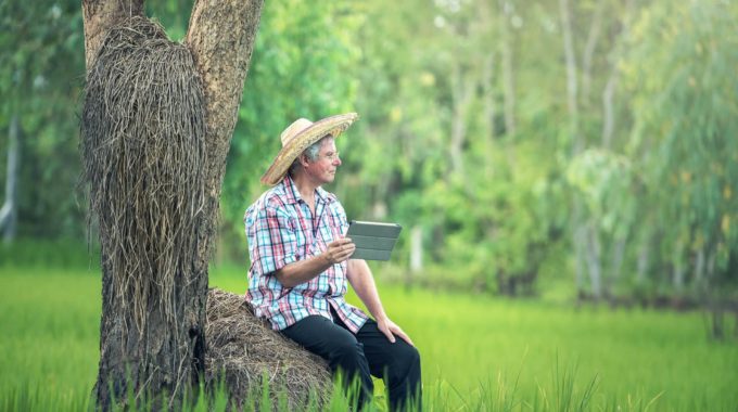 La Pluriactivité Dans Le Monde Agricole