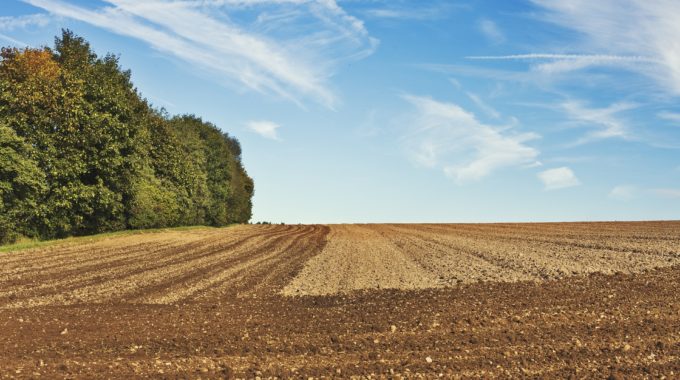 Agriculture : Les Quatre Axes Principaux Du Travail Du Sol