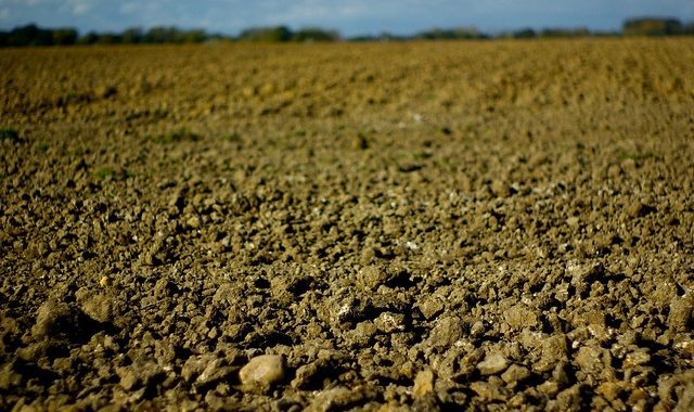 Impact Du Compactage Du Sol Sur Le Développement Des Cultures