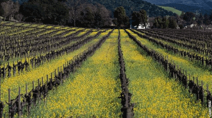 Impacts-agriculture-changement-climatique