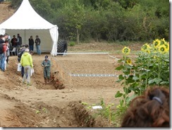 labour agronomique agroécologique