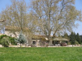 Ferme-auberge Du Mas Des Vertes Rives : La Véritable TPE De Vincent Cornille