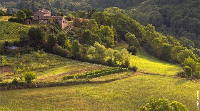 Agriculture : Rémunération Des Services De Protection De L’environnement