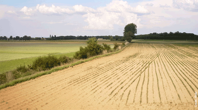 Resilience-exploitations-agricole-changement-climatique