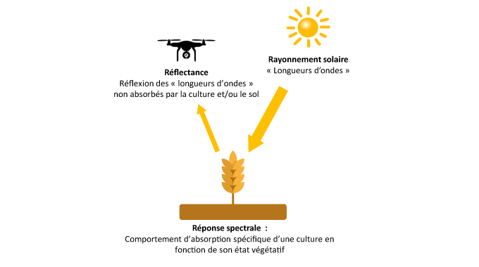 télédétection